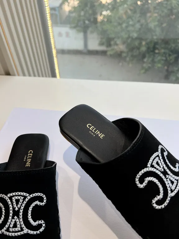 Celine Shoe 